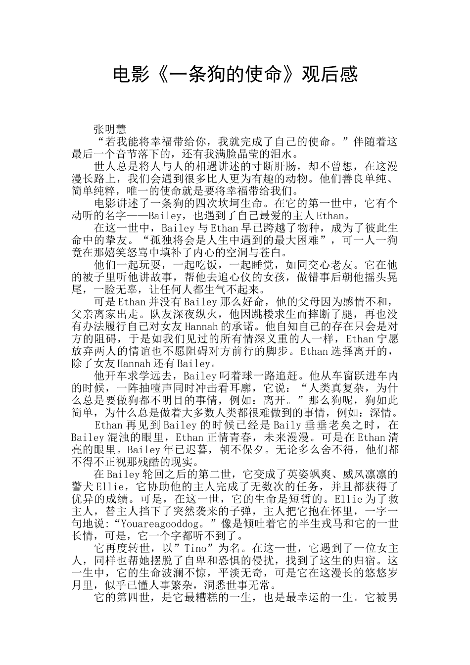 电影《一条狗的使命》观后感_第1页