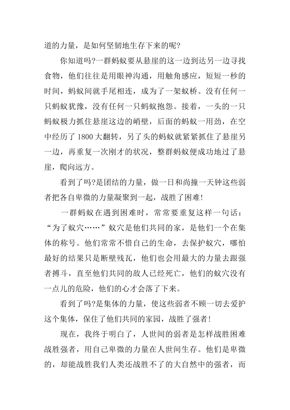 电影《别惹蚂蚁》观后感范文5篇700字_第3页