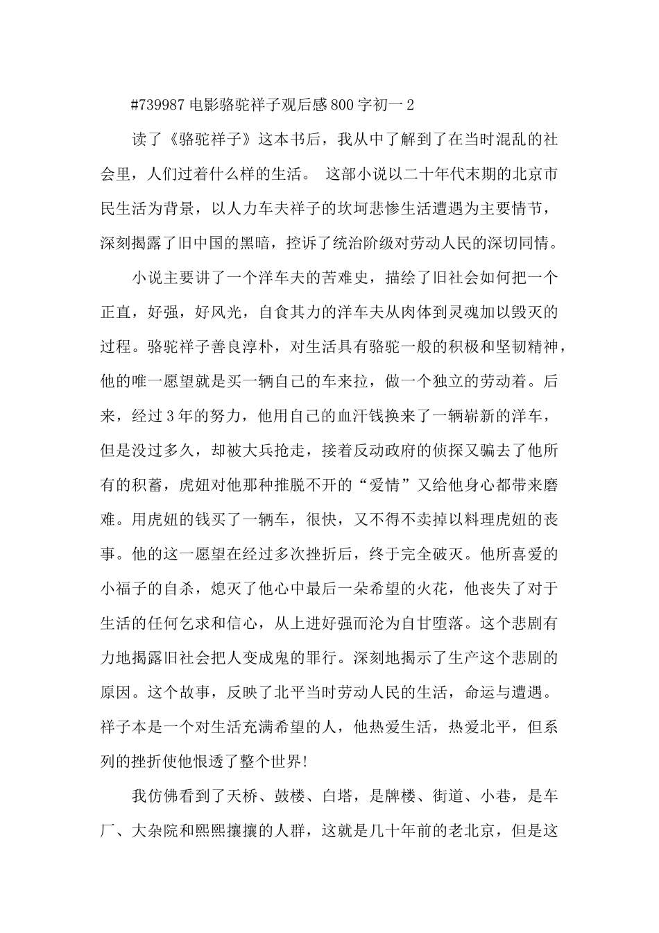 电影骆驼祥子观后感800字初一5篇_第3页