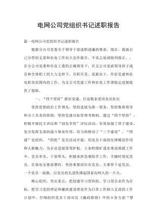 电网公司党组织书记述职报告