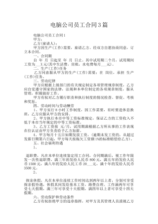 电脑公司员工合同3篇