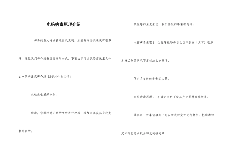 电脑病毒原理介绍_第1页