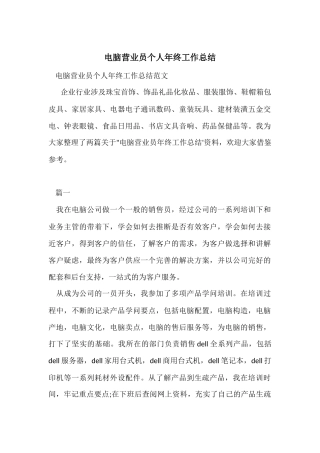 电脑营业员个人年终工作总结
