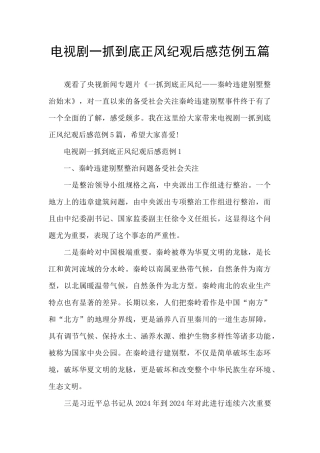 电视剧一抓到底正风纪观后感范例五篇