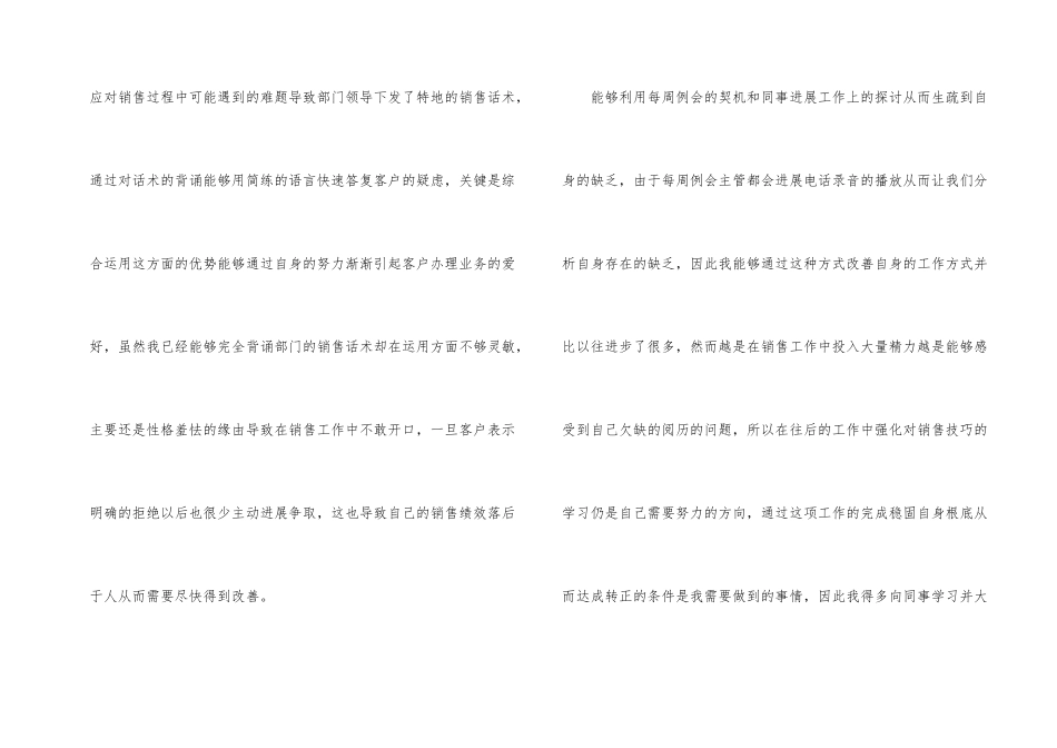 电话销售试用期工作总结_第2页