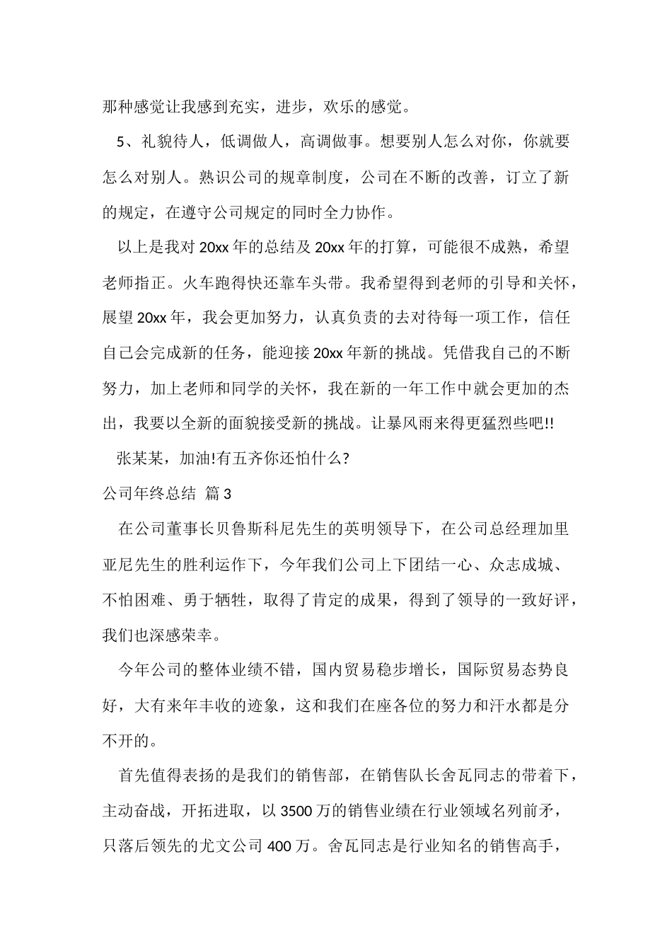 的公司年终总结模板集锦十篇_第3页