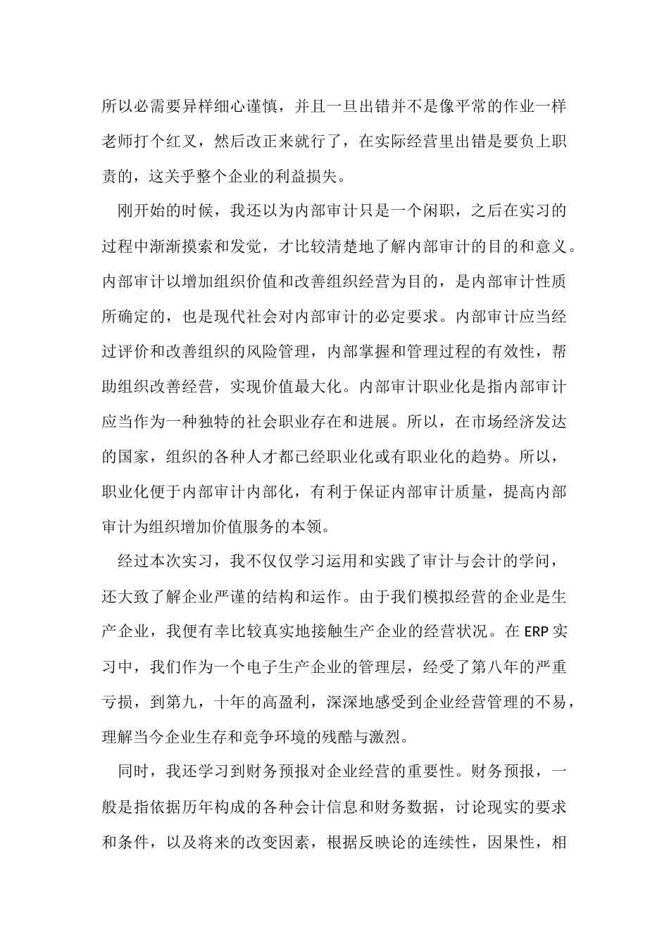 的审计实习报告_第3页