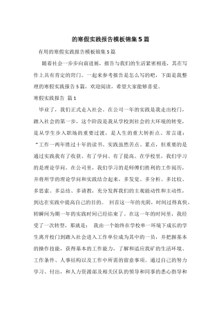 的寒假实践报告模板锦集5篇