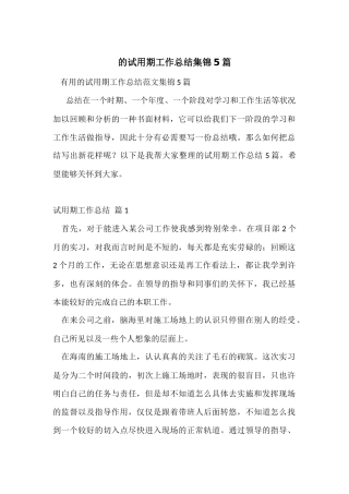 的试用期工作总结集锦5篇