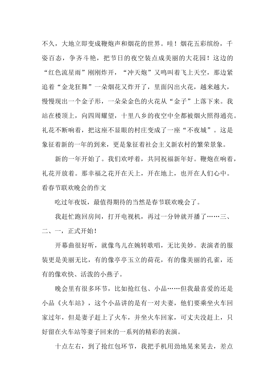 看春节联欢晚会的作文_第2页