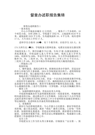 督查办述职报告集锦