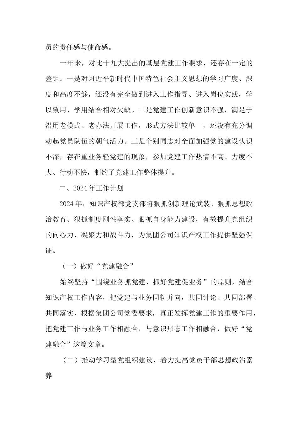 知识产权部党支部工作总结和工作计划_第3页