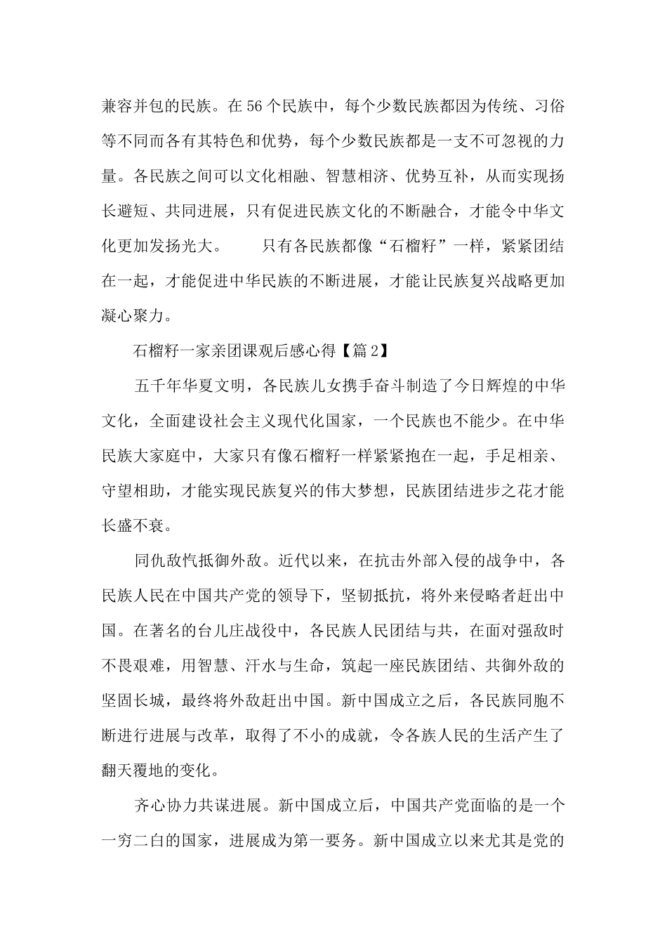 石榴籽一家亲团课观后感心得2024_第2页