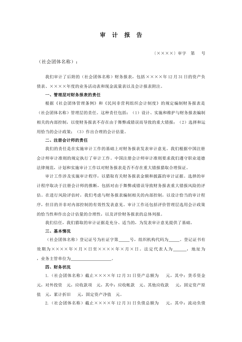 社会团体财务审计报告模板_第2页