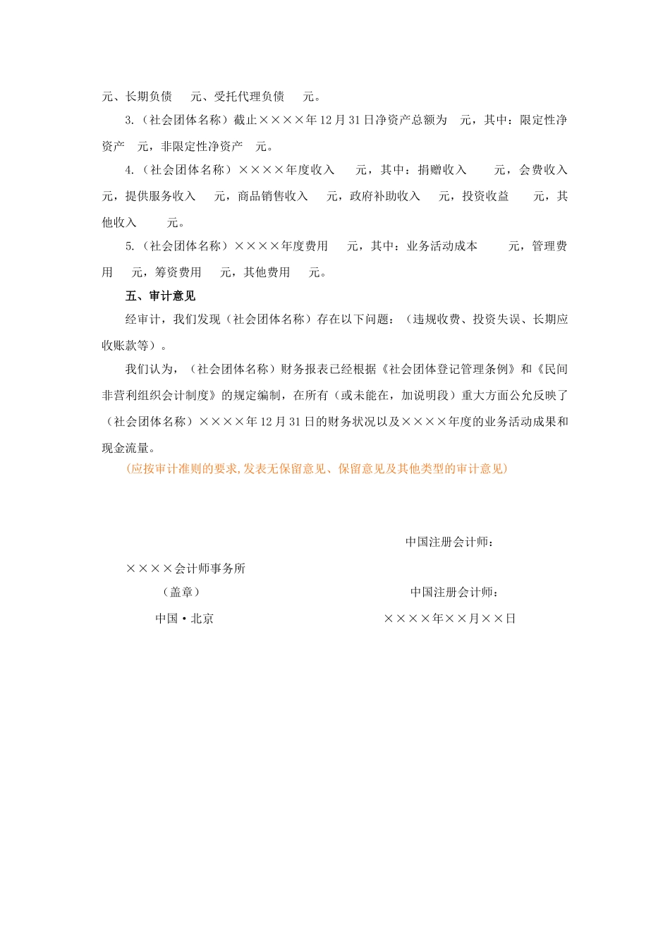 社会团体财务审计报告模板_第3页