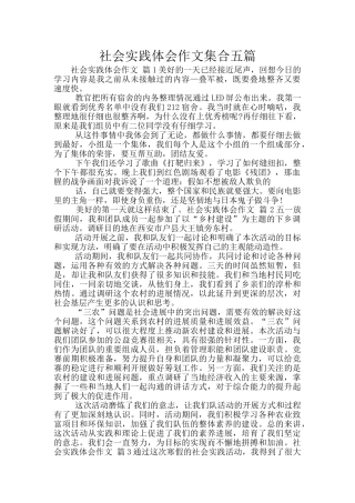 社会实践体会作文集合五篇