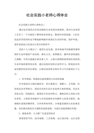 社会实践小老师心得体会