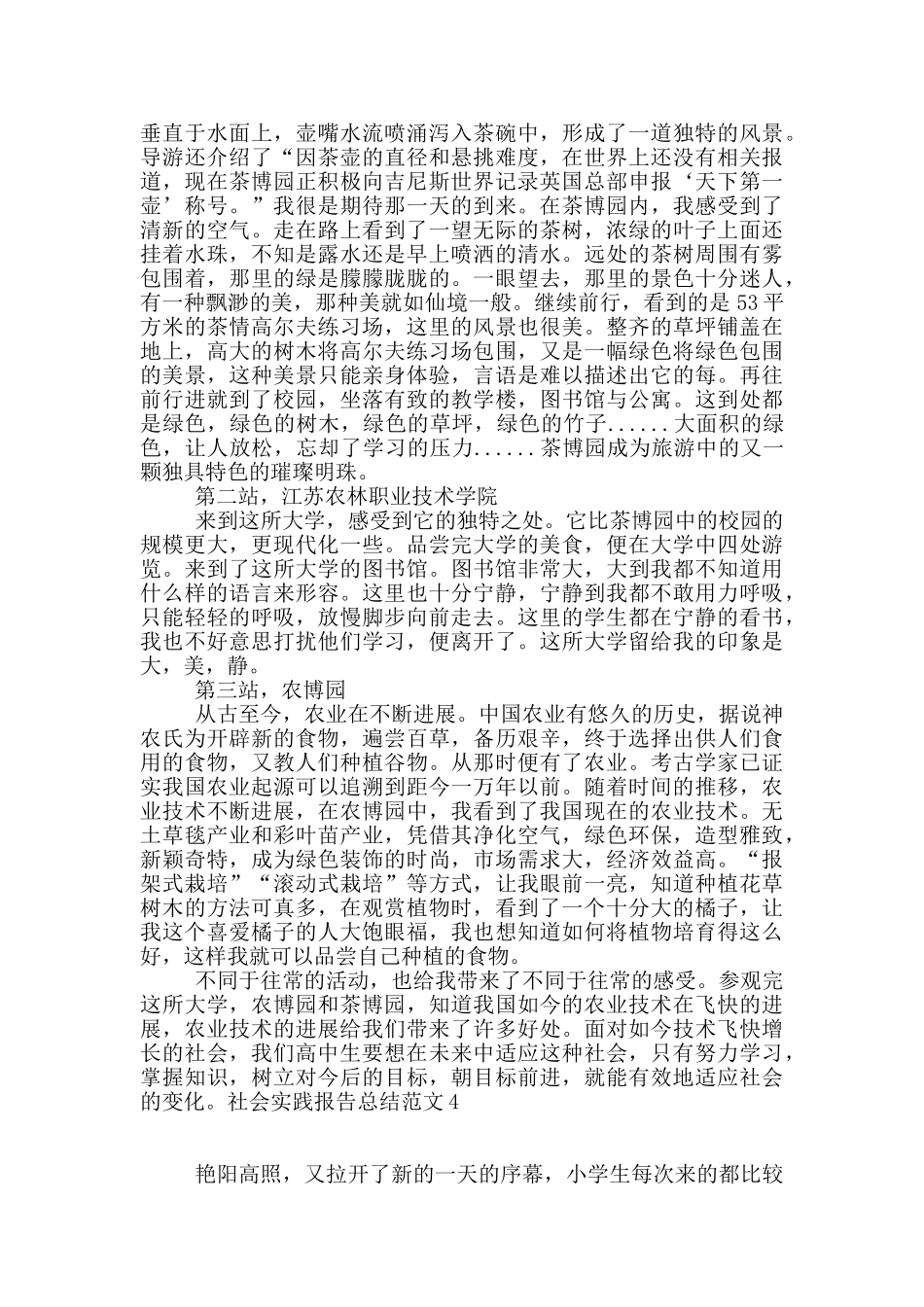 社会实践报告总结范文_第2页