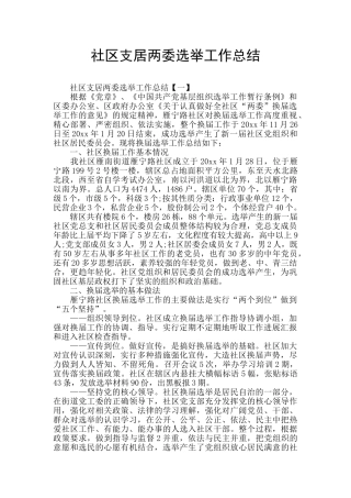 社区支居两委选举工作总结