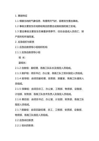 雷击现场处置方案