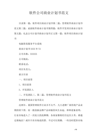 软件公司商业计划书范文