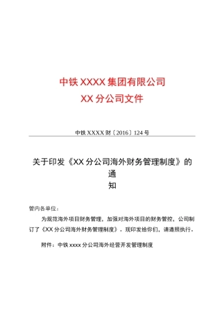 分公司海外财务管理制度