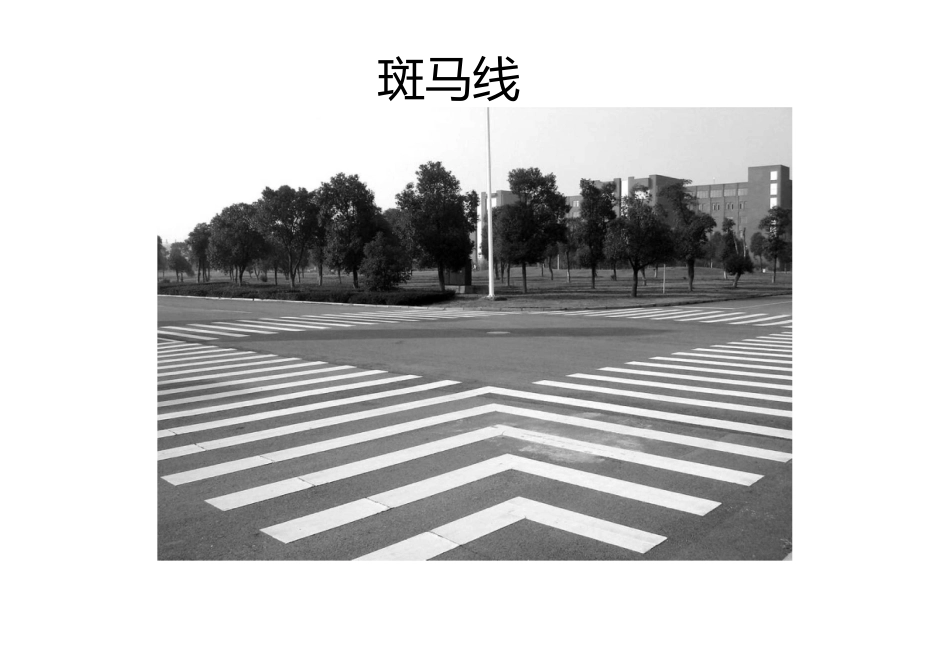 安全过马路图片_第2页