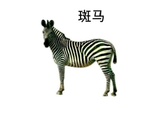 安全过马路图片