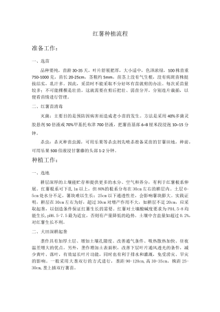 红薯种植流程