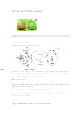 高中生物丨“光合作用”示意图