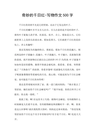 神奇的千日红
