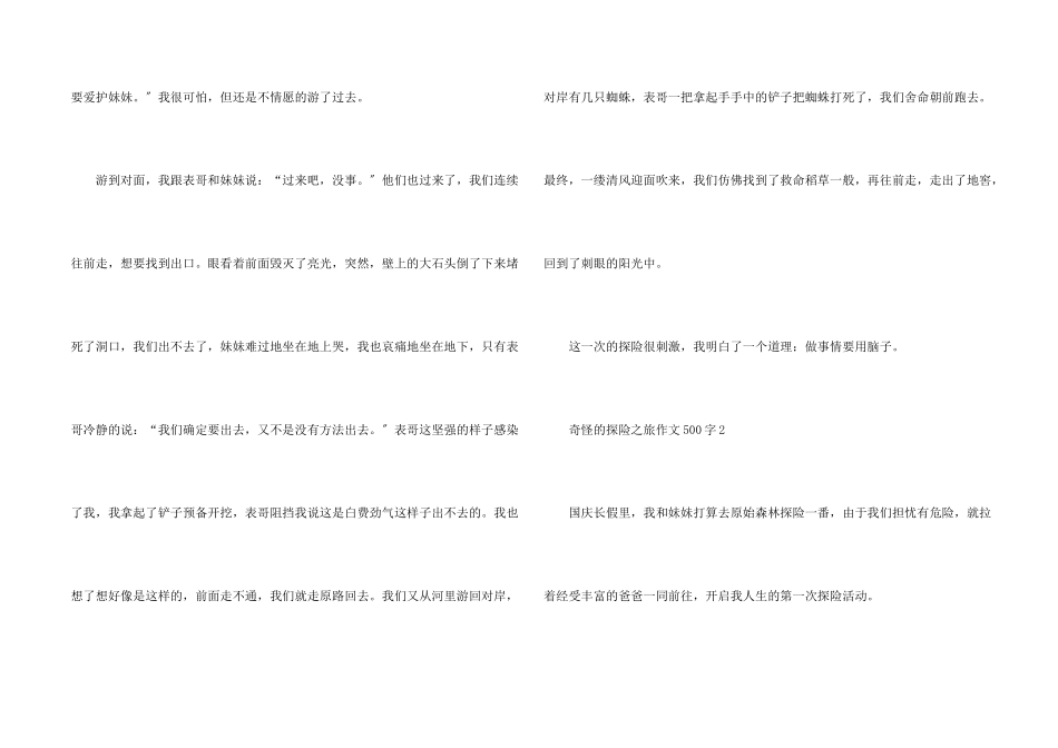 神奇的探险之旅500字10篇_第2页