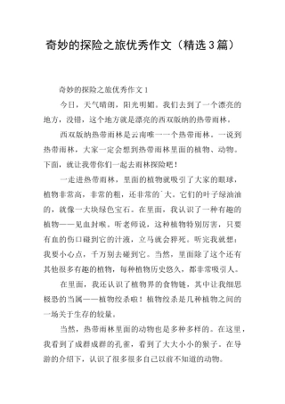 神奇的探险之旅优秀作文