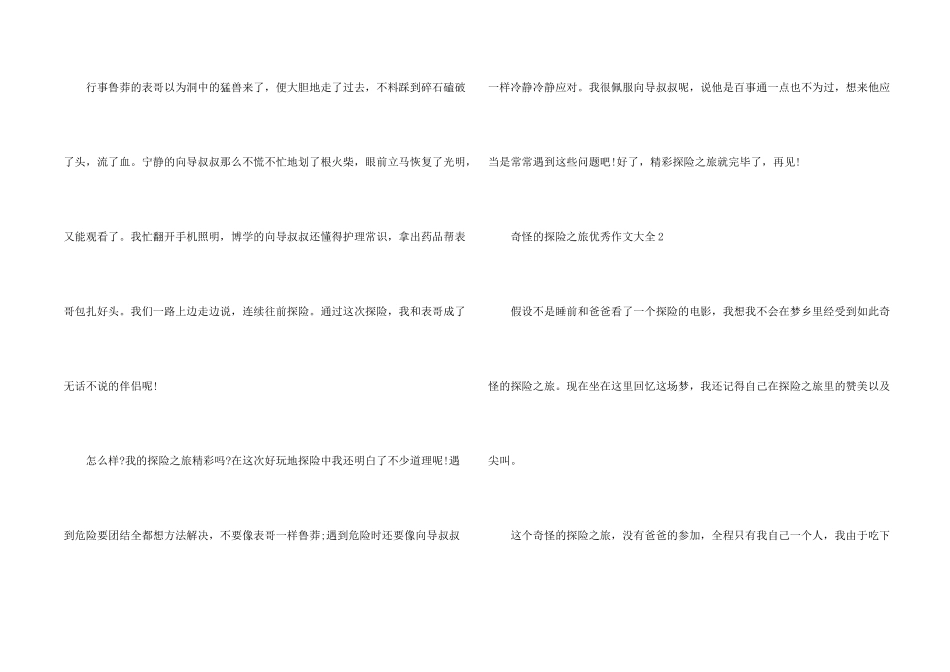 神奇的探险之旅优秀大全_第2页
