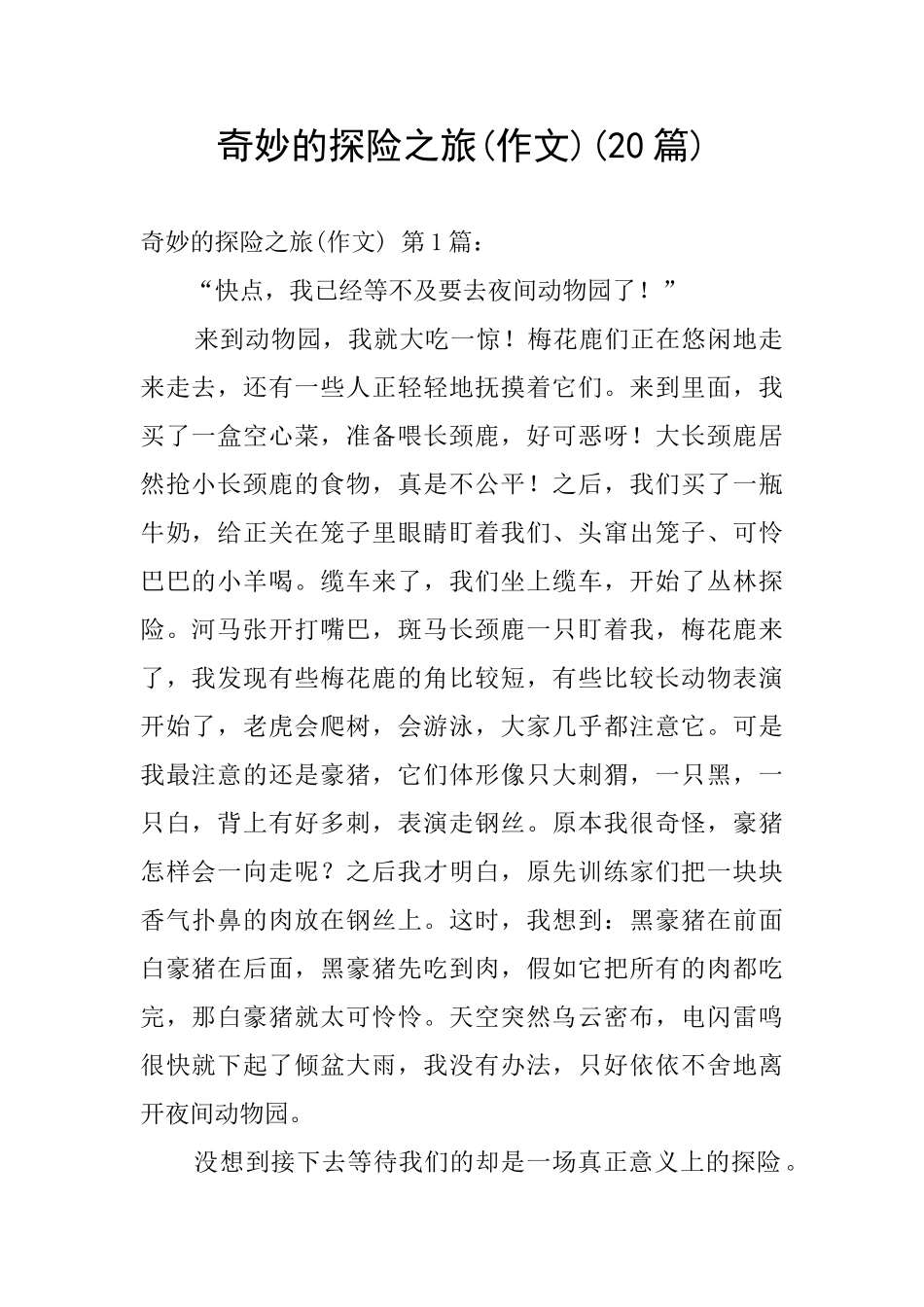 神奇的探险之旅_第1页