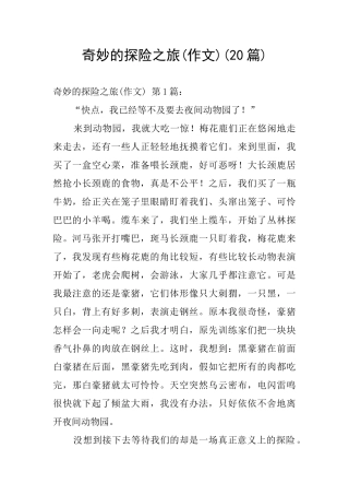 神奇的探险之旅