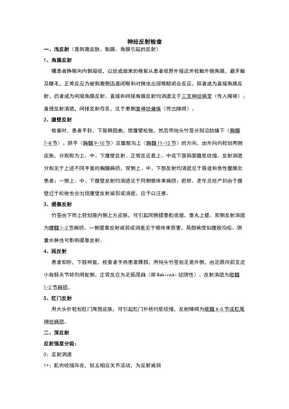 神经反射检查