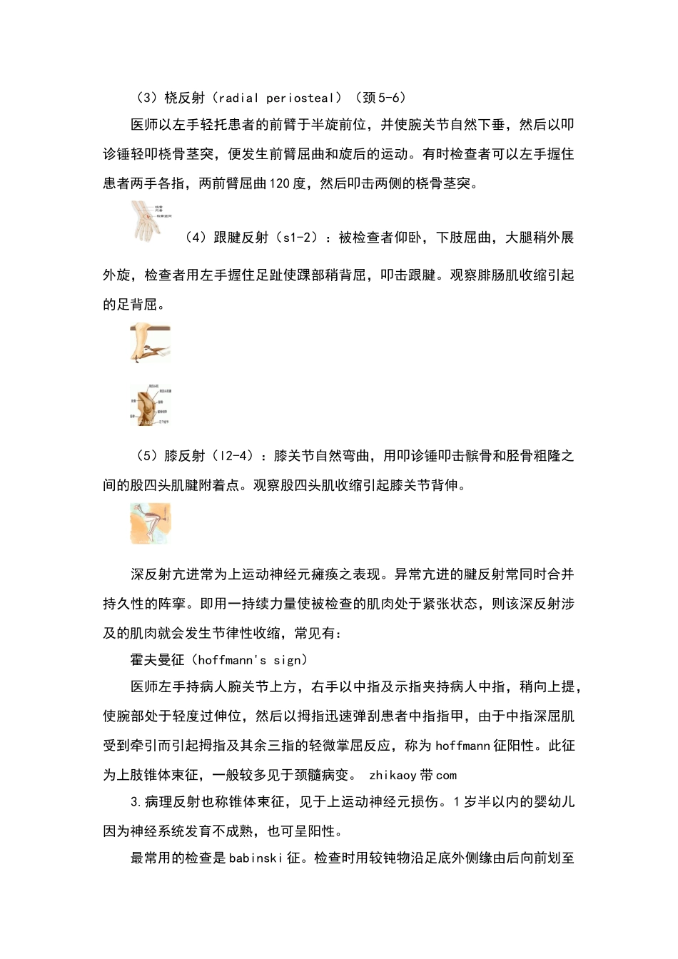 神经反射的检查_第2页