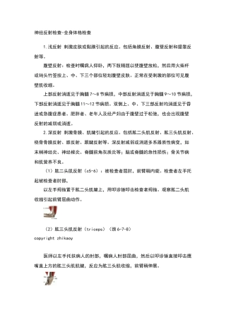 神经反射的检查