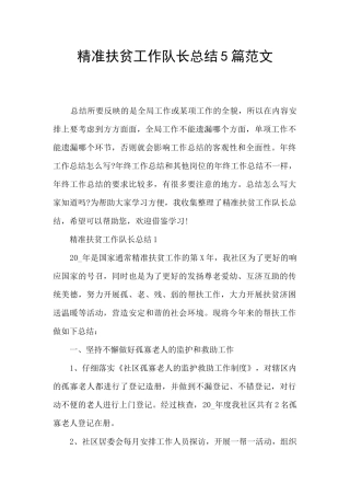 精准扶贫工作队长总结5篇范文