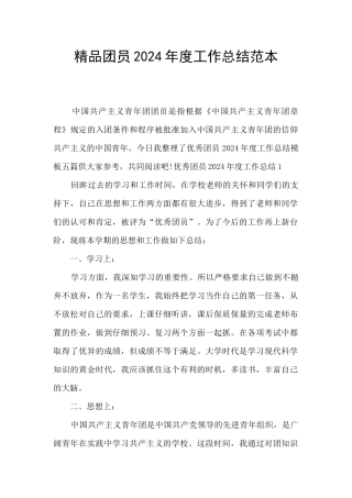 精品团员2024年度工作总结范本