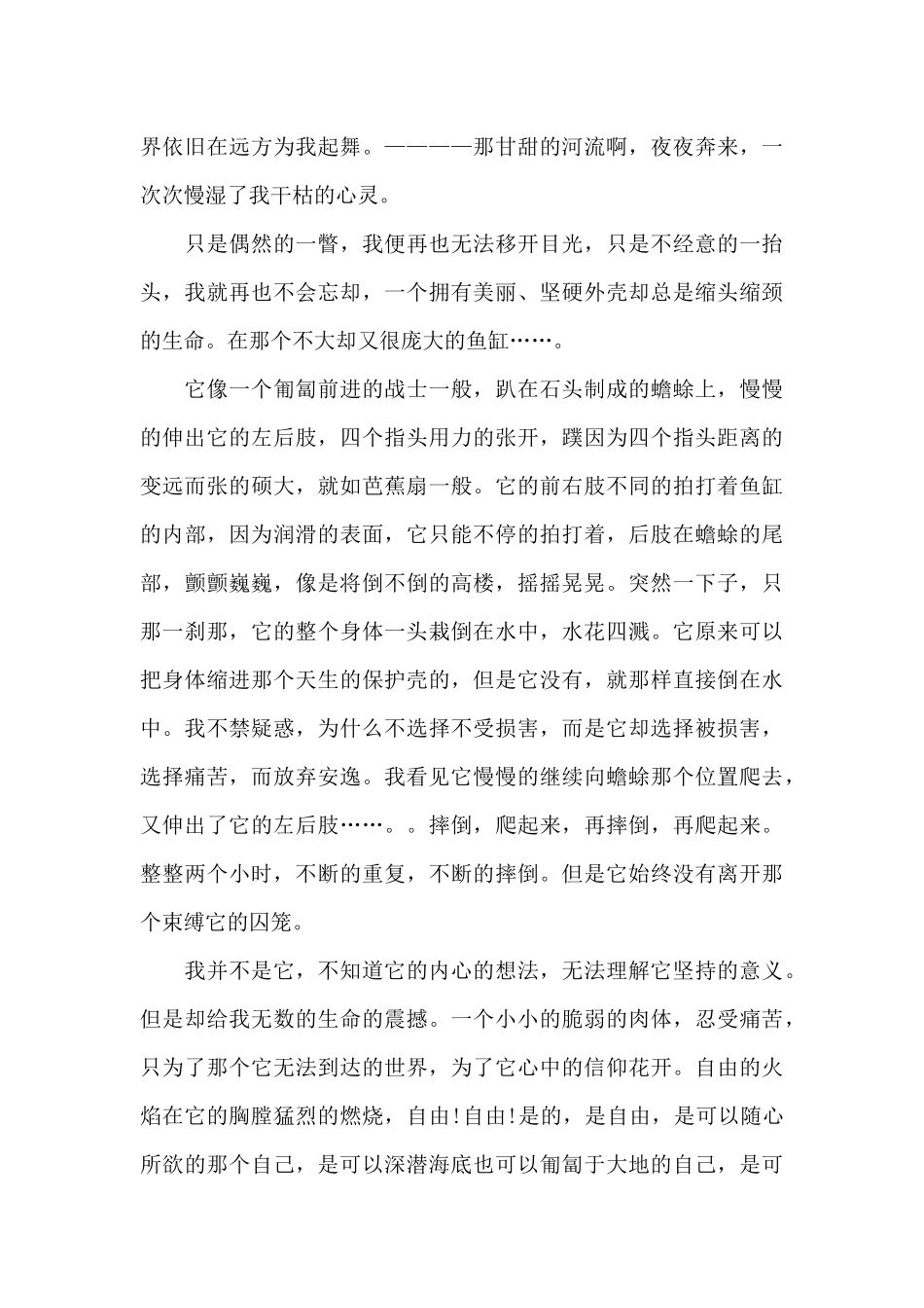精挑细选全新文章关于外面的世界5篇作文_第3页