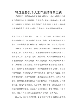 精选业务员个人工作总结锦集五篇