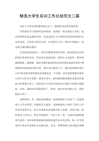 精选大学生实训工作总结范文二篇
