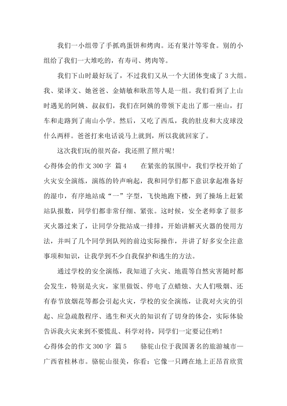 精选心得体会的作文300字汇总五篇_第3页