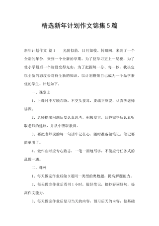 精选新年计划作文锦集5篇