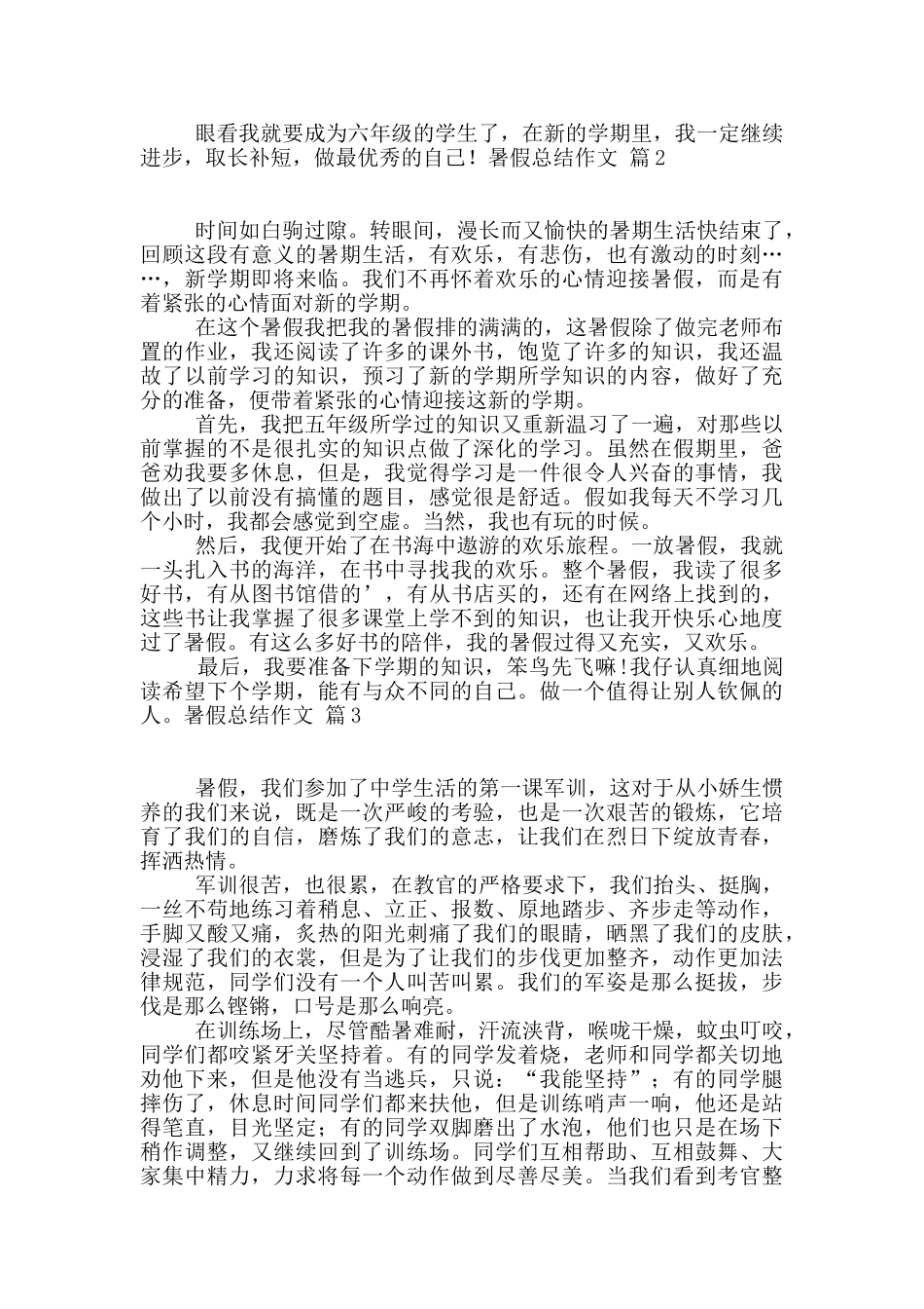 精选暑假总结作文四篇_第2页