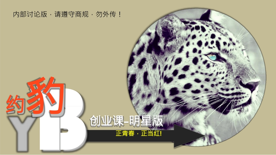 约豹创业培训项目商业计划书BP_第1页