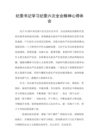 纪委书记学习纪委六次全会精神心得体会