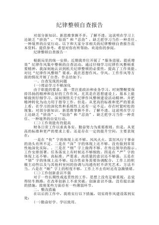 纪律整顿自查报告